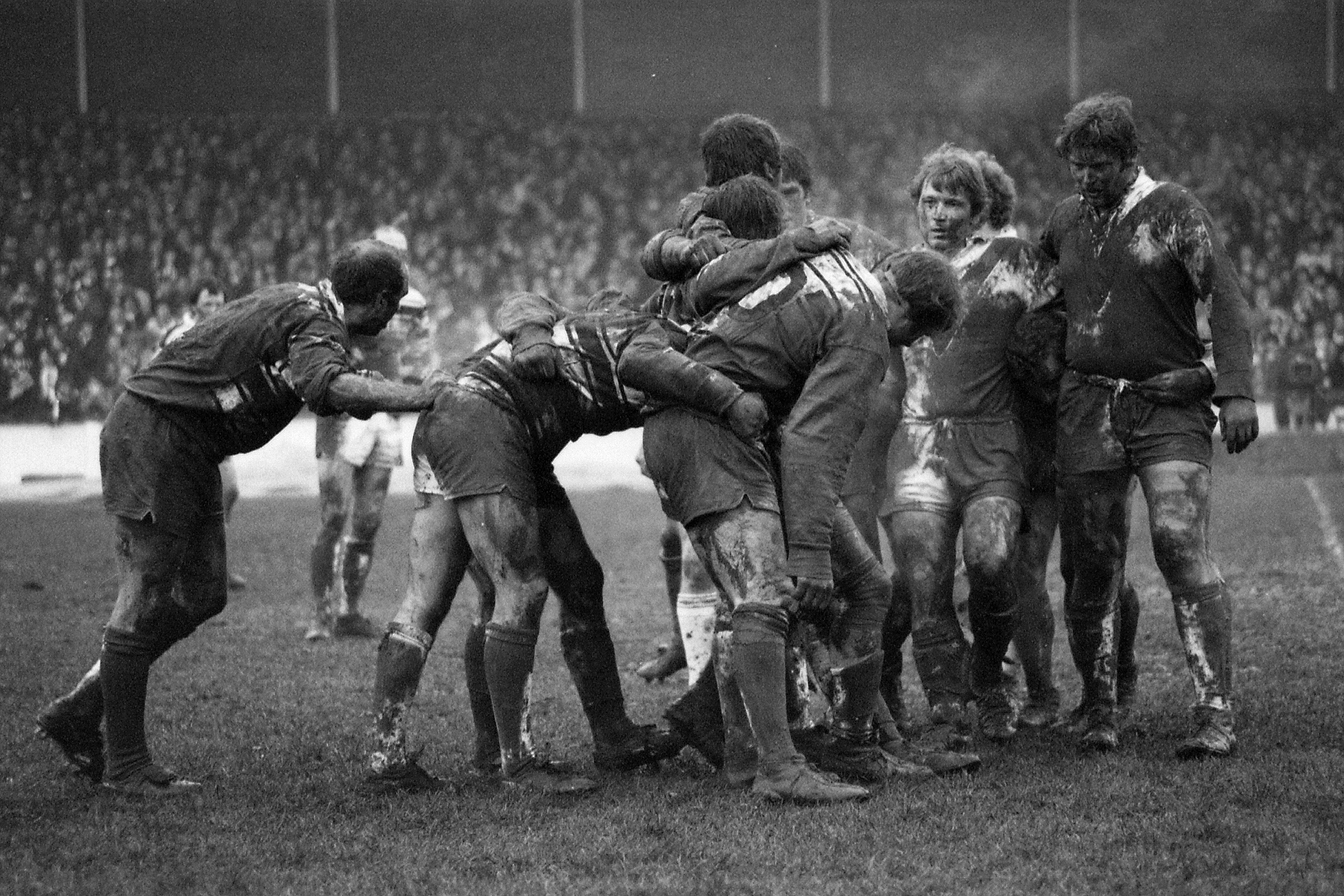 Barrow Raiders sign Leeds Rhinos scrum-half Sean Casey - BBC Sport